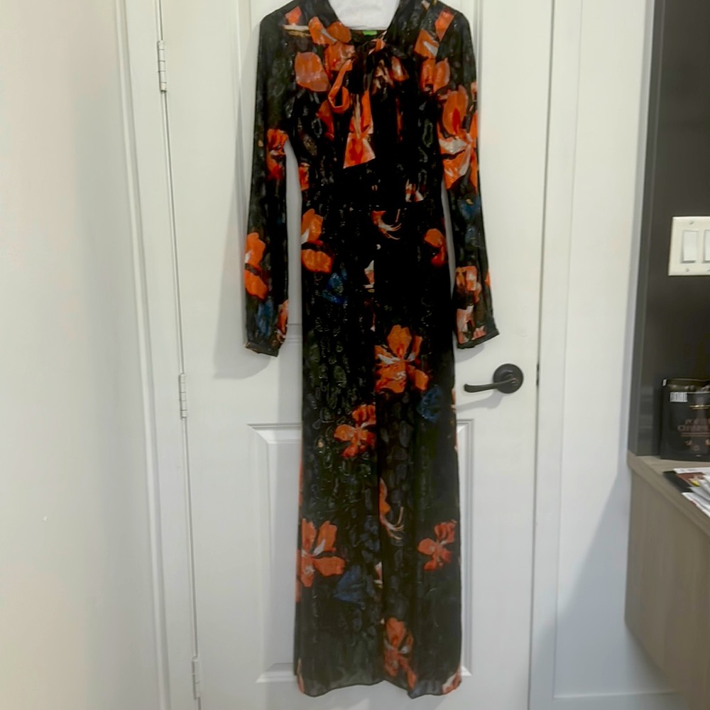 Long sleeve maxi corset type dress